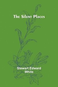bokomslag The silent places