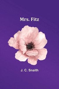 bokomslag Mrs. Fitz