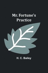 bokomslag Mr. Fortune's Practice