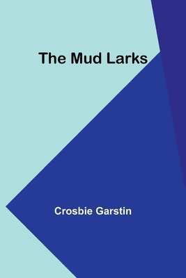 bokomslag The Mud Larks