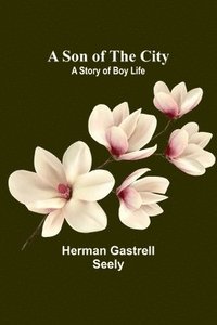 bokomslag A Son of the City; A Story of Boy Life