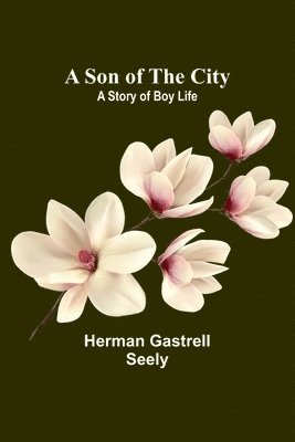 A Son of the City; A Story of Boy Life 1