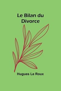 bokomslag Le Bilan du Divorce