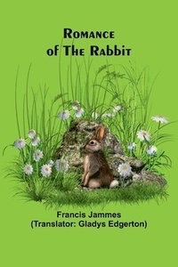 bokomslag Romance of the Rabbit
