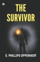 bokomslag Survivor