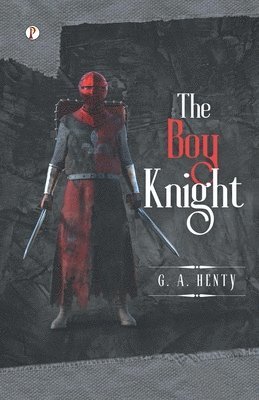 bokomslag Boy Knight