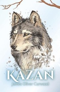 bokomslag Kazan