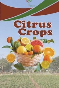 bokomslag Citrus crops