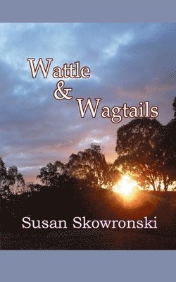 Wattle and Wagtails 1