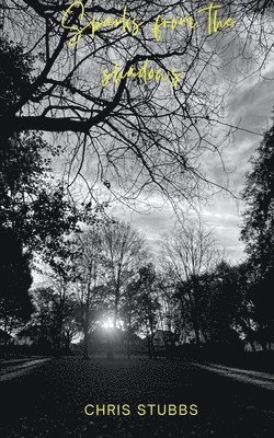 Sparks From The Shadows