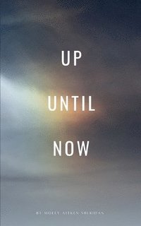bokomslag Up Until Now