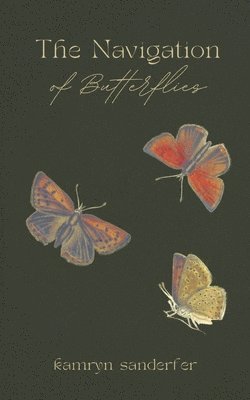 The Navigation of Butterflies 1