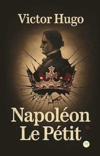 bokomslag Napoléon Le Petit