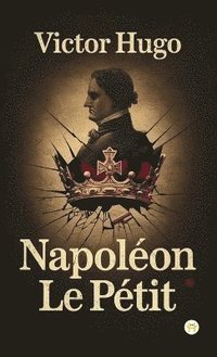 bokomslag Napoléon Le Petit
