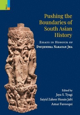 Jaya Tyagi, S. Z. F. Jafri - Pushing the Boundaries of South Asian History: Essays in Honour of Dwijendra Narayan Jha, Inbunden