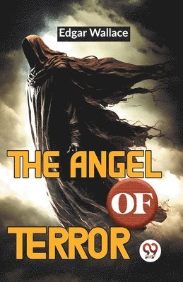 bokomslag Angel of Terror
