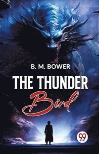 bokomslag Thunder Bird