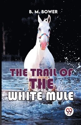 bokomslag The Trail of the White Mule