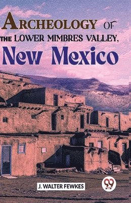 Archeology of the Lower Mimbres Valley, New Mexico 1