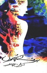 bokomslag Barf ke phool: (Urdu Novel)