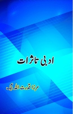 bokomslag Adabi Tassuraat: (Urdu Essays)