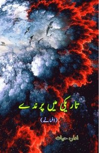 bokomslag Taariki mein Parinde: (Short Stories)