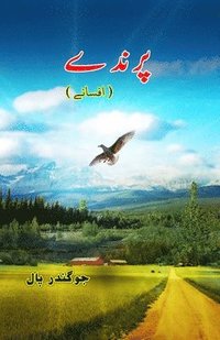 bokomslag Parinde: (Birds, Urdu Short Stories)