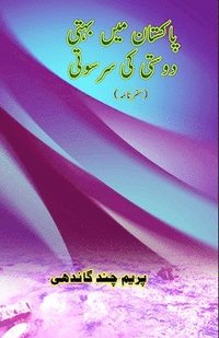 bokomslag Pakistan mein bahti Dosti ki Saraswati: (Travelogue)