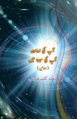 Mohd Kaleem Siddiqui - Aap ki Amanat Aap ki seva mein: (Essays), Häftad