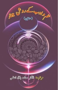 bokomslag Ilm-o-Adab ke raushan Minaar: (Essays)