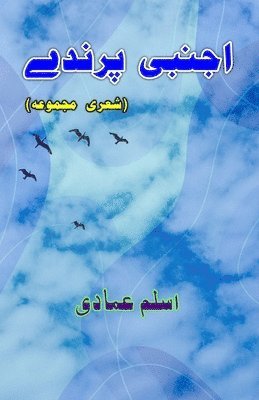 Aslam Emadi - Ajnabi Parinde (Poetry), Häftad. Tillgänglighet: Lägg i varukorg