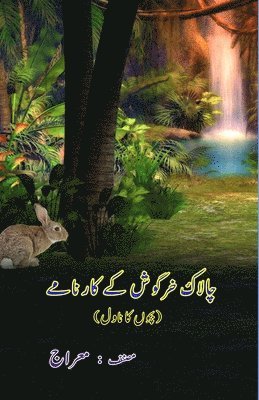 Me'raaj - Chaalaak Khargosh ke kaarnaame: (Kids Novel), Häftad
