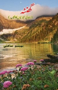 bokomslag Ghanta: (Short Stories Collection)