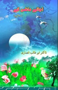 bokomslag Ujaale Maazi ke: (Essays)