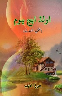 bokomslag Old Age Home: (Short Stories)