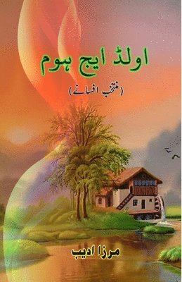 bokomslag Old Age Home: (Short Stories)