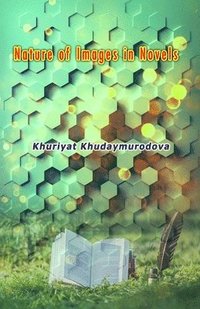 bokomslag Nature of Images in Novels