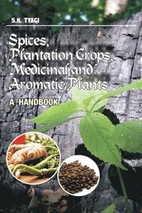 bokomslag Spices,Plantation Crops,Medicinal and Aromatic Plants: A Handbook