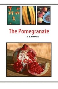 bokomslag The Pomegranate