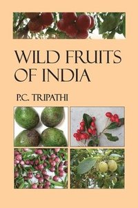 bokomslag Wild Fruits of India