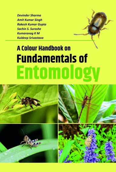 Devinder Sharma, Amit Kumar Singh, Rakesh Kumar Gupta, Sachin S. Suroshe, Kumar Nag M. - Colour Handbook on Fundamentals of Entomology, Inbunden
