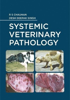 R S Chauhan, Desh Deepak Singh - Systemic Veterinary Pathology, Inbunden