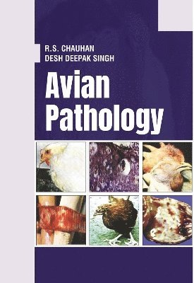 R.S. Chauhan, Desh Deepak Singh - Avian Pathology, Inbunden