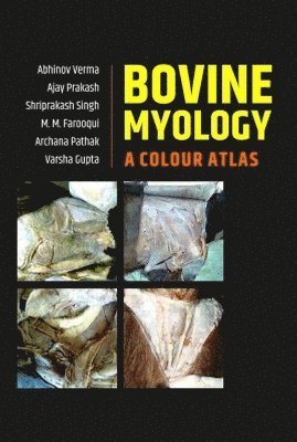 bokomslag Bovine Myology: A Colour Atlas