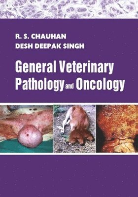 bokomslag General Veterinary Pathology and Oncology