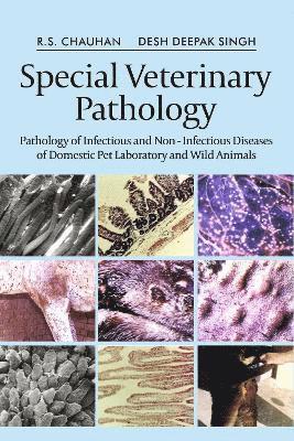 R.S. Chauhan, Desh Deepak Singh - Special Veterinary Pathology, Inbunden