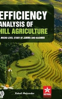 bokomslag Efficiency Analysis of Hill Agriculture