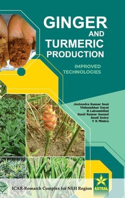 bokomslag Ginger and Turmeric Production: Improved Technologies (Edition1st)