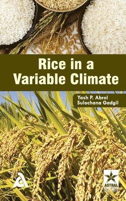 bokomslag Rice in a Variable Climate (Edition1st)