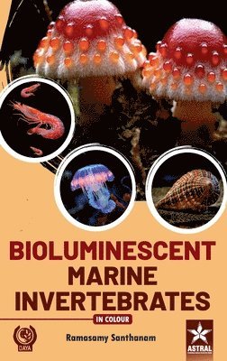 bokomslag Bioluminescent Marine Invertebrates_Int